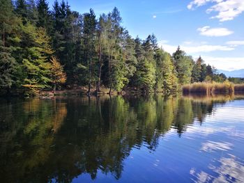 Scenic view of lake in forest against sky