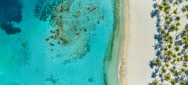 Aerial view of beach