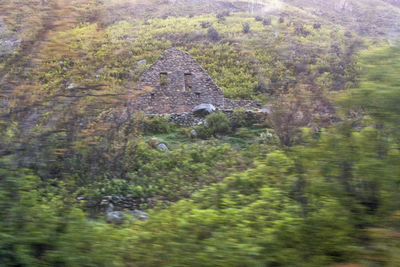 View of sheep on mountain