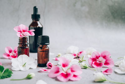 Front view of glass bottles of geranium essential oil with fresh pink and white flowers and petals.