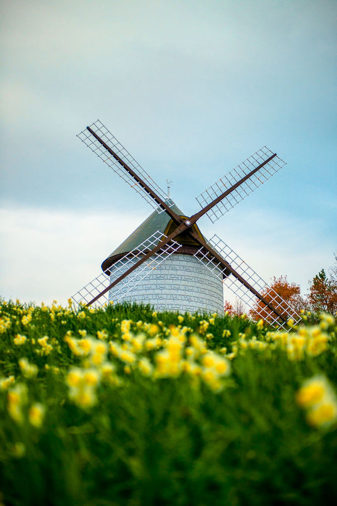 LOW ANGLE VIEW OF TRADITIONAL WINDMILL AGAINST SKY