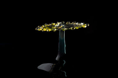 Low angle view of chandelier against black background