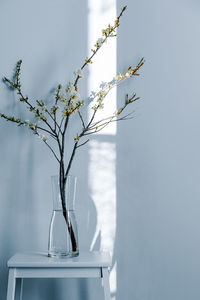View of blooming branch with flowers in vase on table
