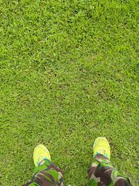 Low section of person standing on field