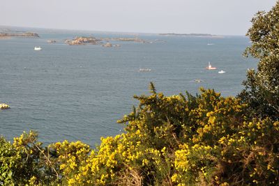 Scenic view of sea against clear sky