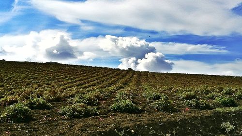 Panoramic shot of countryside landscape against clouds