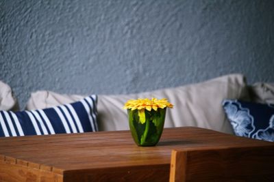 Potted plant on table