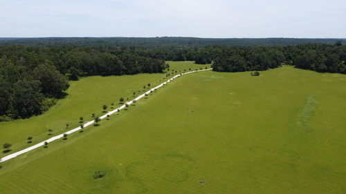 Scenic view of green landscape against sky