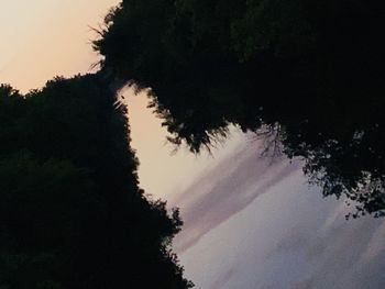 Silhouette trees against sky during sunset