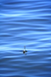 High angle view of a floating on water