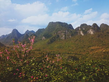 Scenic view of field and mountains against sky