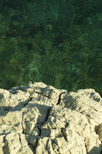 Close-up of rocks by sea