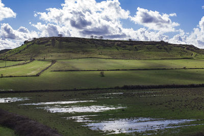 Scenic view of field against sky