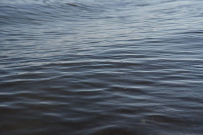 High angle view of rippled water in lake