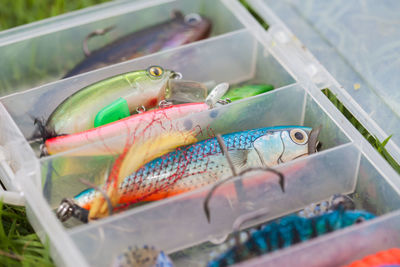 Close-up of fish for sale