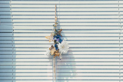 Close-up of white flower hanging on window