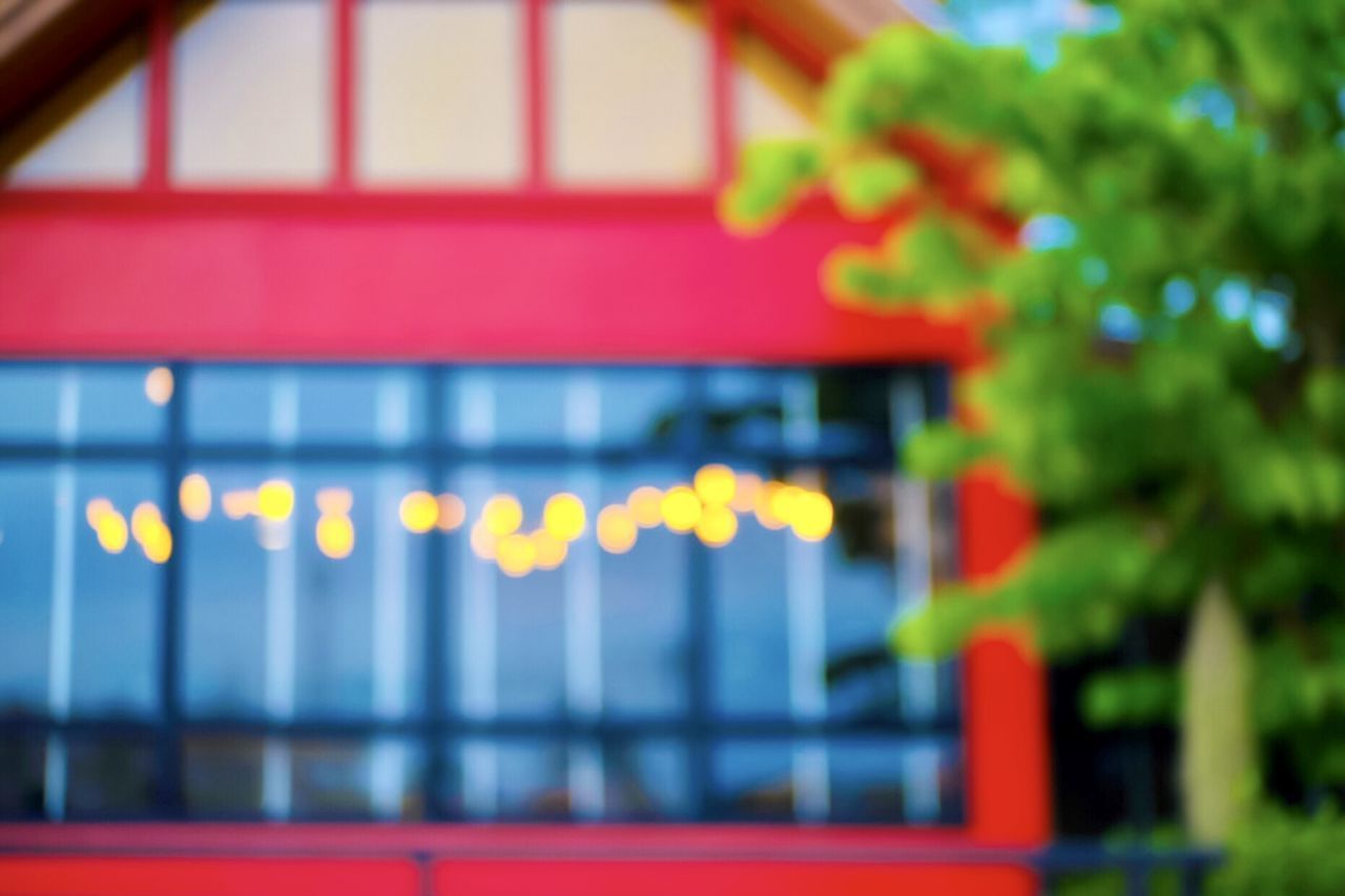 DEFOCUSED IMAGE OF ILLUMINATED LIGHTS AGAINST TREES