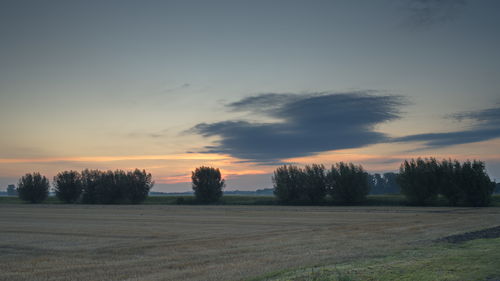 Scenic view of field against sky during sunset