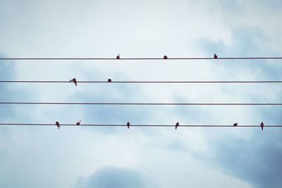 Directly below shot of silhouette birds perching on power lines against sky