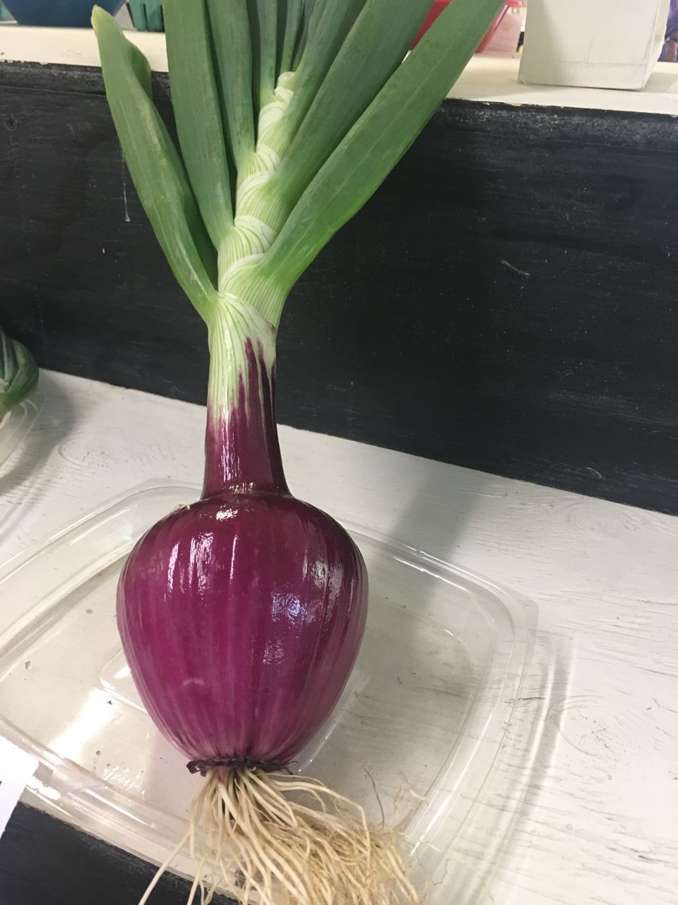 vegetable, food and drink, food, healthy eating, wellbeing, freshness, indoors, table, still life, onion, no people, high angle view, close-up, raw food, home, kitchen, green color, domestic kitchen, plant, root vegetable, purple