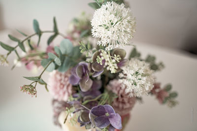 Close-up of flowering plant in vase