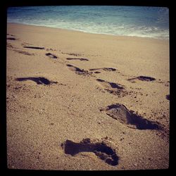 Scenic view of beach