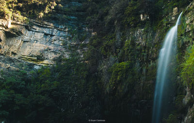 Scenic view of waterfall in forest