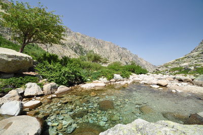 Scenic view of river by trees against clear sky