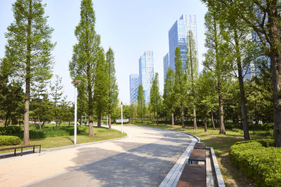 Road amidst trees in park against sky