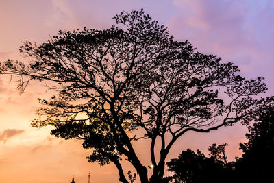 Low angle view of silhouette tree against sky at sunset