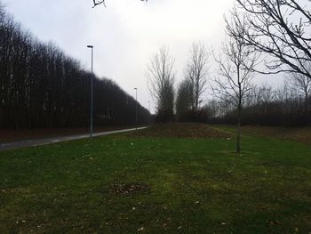 Trees on grass against sky