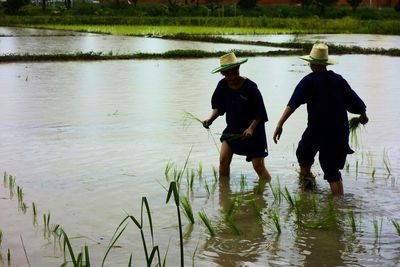 Rear view of men standing in lake