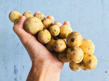 Close-up of hand holding fruits