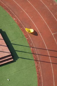 High angle view of leaf on grass