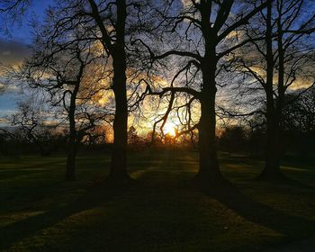 Silhouette trees on landscape against sky at sunset