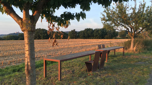 Empty chairs and tables by agricultural field