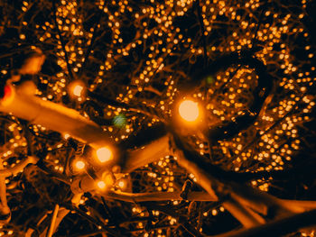 Low angle view of illuminated chandelier