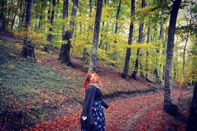 People standing amidst trees in forest