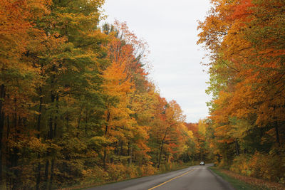 Road amidst trees against sky during autumn