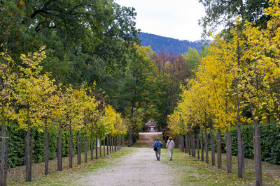 Rear view of people walking on footpath during autumn