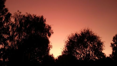 Low angle view of silhouette trees against romantic sky