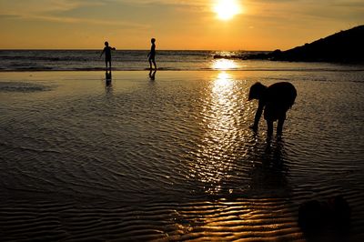 Silhouette people on beach against sky during sunset