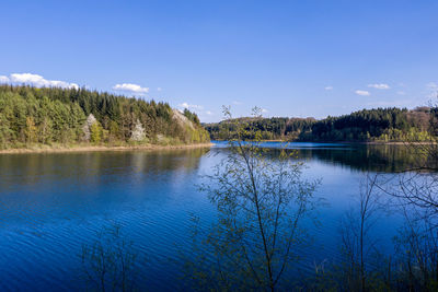 Scenic view of lake in forest against blue sky