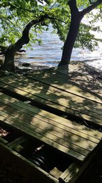 Shadow of tree on water