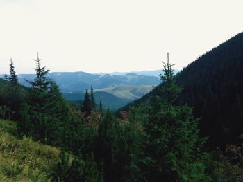 Scenic view of mountains