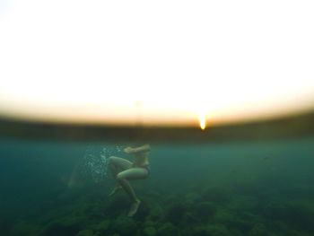 Close-up of jellyfish in water against clear sky