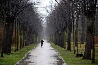 Rear view of man amidst bare trees on road at park