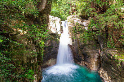 Scenic view of waterfall in forest