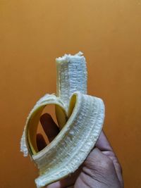 Close-up of hand holding fruit