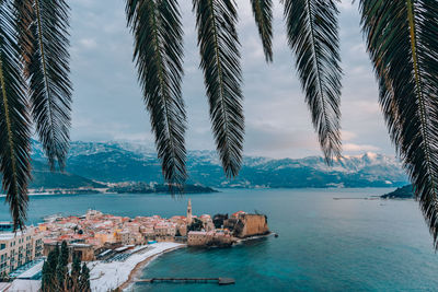 Scenic view of sea and palm trees against sky